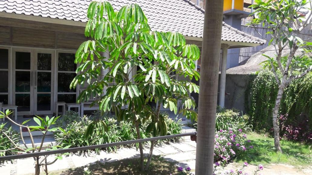 Отель Vista Huts Lembongan Экстерьер фото