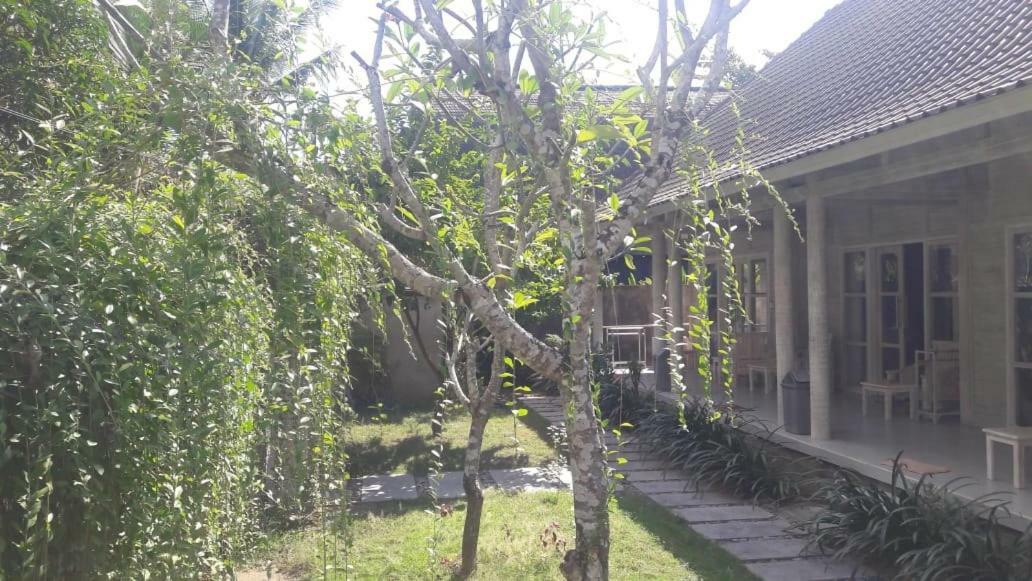 Отель Vista Huts Lembongan Экстерьер фото